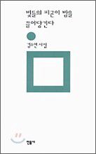 빛들의 피곤이 밤을 끌어당긴다 표지
